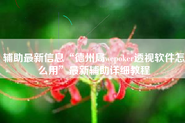辅助最新信息“德州局wepoker透视软件怎么用	”最新辅助详细教程