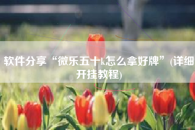 软件分享“微乐五十k怎么拿好牌”(详细开挂教程)