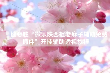 一键必胜“微乐陕西捉老麻子辅助免费插件”开挂辅助透视教程