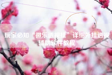 玩家必知“微乐透视挂”详细外挂透视辅助软件教程