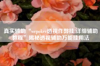 真实辅助“wepoker透视作弊挂!详细辅助教程	”揭秘透视辅助万能挂用法