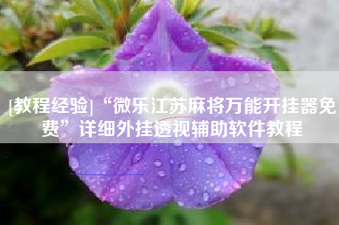 [教程经验]“微乐江苏麻将万能开挂器免费”详细外挂透视辅助软件教程