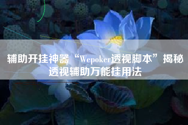 辅助开挂神器“Wepoker透视脚本	”揭秘透视辅助万能挂用法