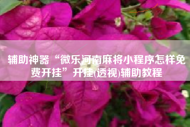 辅助神器“微乐河南麻将小程序怎样免费开挂	”开挂(透视)辅助教程