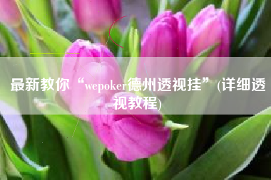 最新教你“wepoker德州透视挂”(详细透视教程)