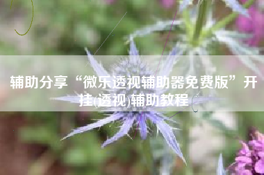 辅助分享“微乐透视辅助器免费版”开挂(透视)辅助教程