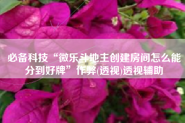 必备科技“微乐斗地主创建房间怎么能分到好牌	”作弊(透视)透视辅助