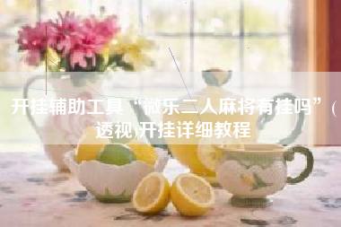 开挂辅助工具“微乐二人麻将有挂吗”(透视)开挂详细教程