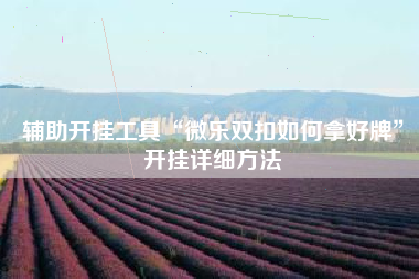 辅助开挂工具“微乐双扣如何拿好牌	”开挂详细方法
