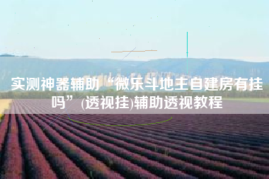 实测神器辅助“微乐斗地主自建房有挂吗	”(透视挂)辅助透视教程