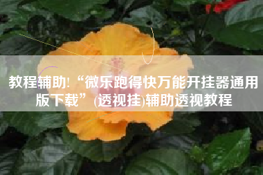 教程辅助!“微乐跑得快万能开挂器通用版下载”(透视挂)辅助透视教程