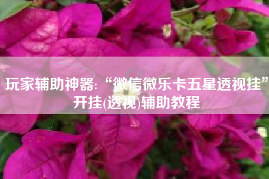 玩家辅助神器:“微信微乐卡五星透视挂”开挂(透视)辅助教程