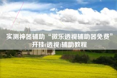 实测神器辅助“微乐透视辅助器免费”开挂(透视)辅助教程