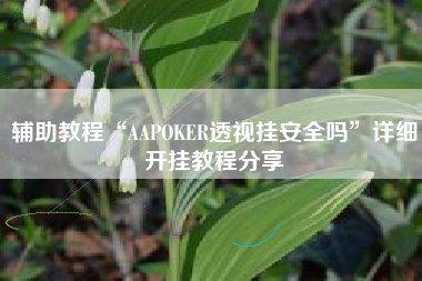 辅助教程“AAPOKER透视挂安全吗”详细开挂教程分享