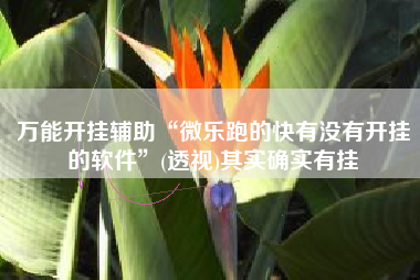 万能开挂辅助“微乐跑的快有没有开挂的软件”(透视)其实确实有挂