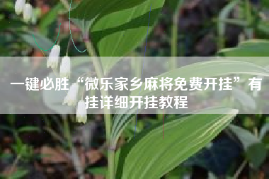 一键必胜“微乐家乡麻将免费开挂	”有挂详细开挂教程