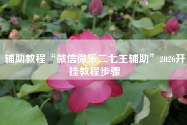 辅助教程“微信微乐二七王辅助”2026开挂教程步骤