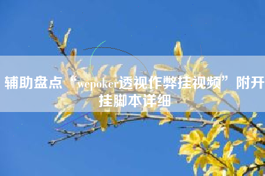 辅助盘点“wepoker透视作弊挂视频	”附开挂脚本详细