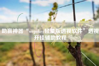 助赢神器“wepoker轻量版透视软件”透视开挂辅助教程