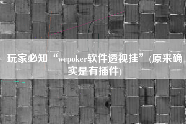 玩家必知“wepoker软件透视挂”(原来确实是有插件)