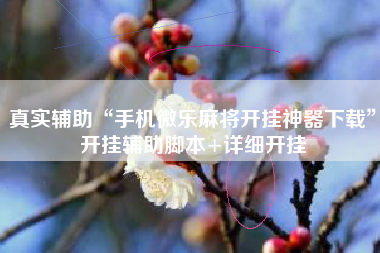 真实辅助“手机微乐麻将开挂神器下载”开挂辅助脚本+详细开挂