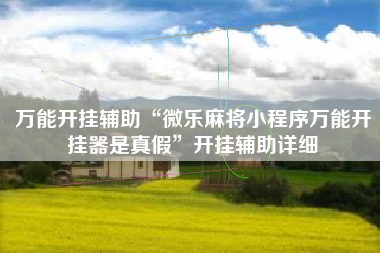 万能开挂辅助“微乐麻将小程序万能开挂器是真假”开挂辅助详细