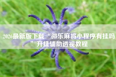 2026最新版下载“微乐麻将小程序有挂吗”开挂辅助透视教程