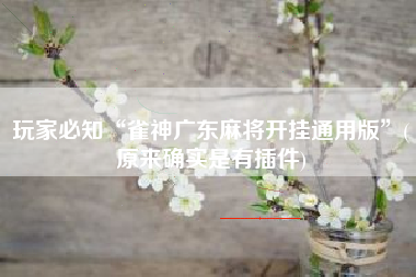 玩家必知“雀神广东麻将开挂通用版”(原来确实是有插件)