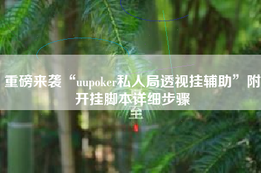 重磅来袭“uupoker私人局透视挂辅助”附开挂脚本详细步骤