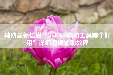 辅助最新信息“WePoker辅助工具哪个好用”详细透视辅助教程