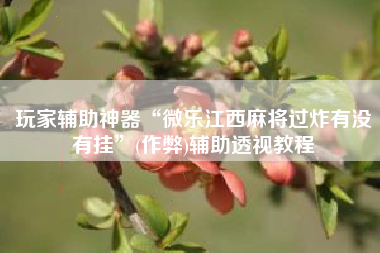 玩家辅助神器“微乐江西麻将过炸有没有挂”(作弊)辅助透视教程