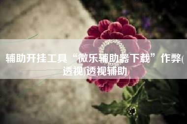 辅助开挂工具“微乐辅助器下载	”作弊(透视)透视辅助