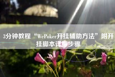 3分钟教程“WePoker开挂辅助方法”附开挂脚本详细步骤