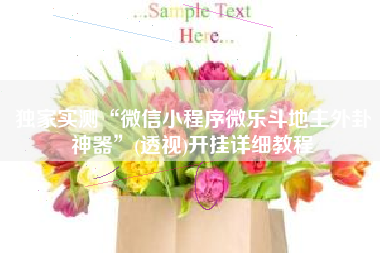 独家实测“微信小程序微乐斗地主外卦神器	”(透视)开挂详细教程