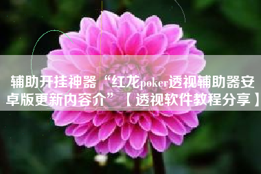 辅助开挂神器“红龙poker透视辅助器安卓版更新内容介”【透视软件教程分享】