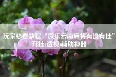 玩家必看教程“微乐云南麻将有没有挂”开挂(透视)辅助神器