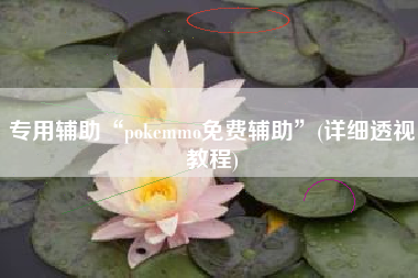 专用辅助“pokemmo免费辅助”(详细透视教程)