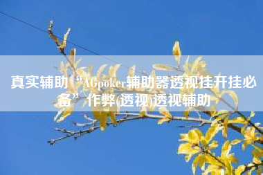 真实辅助“AGpoker辅助器透视挂开挂必备”作弊(透视)透视辅助