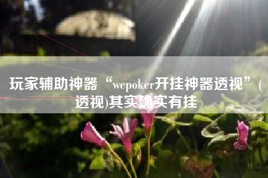 玩家辅助神器“wepoker开挂神器透视”(透视)其实确实有挂