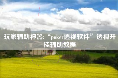 玩家辅助神器:“poker透视软件	”透视开挂辅助教程