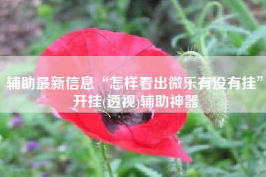 辅助最新信息“怎样看出微乐有没有挂”开挂(透视)辅助神器