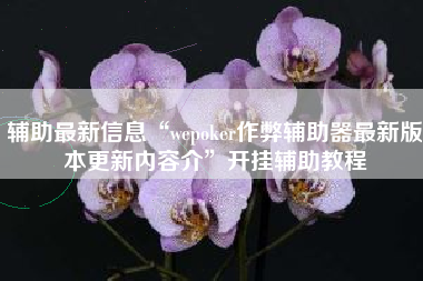 辅助最新信息“wepoker作弊辅助器最新版本更新内容介”开挂辅助教程