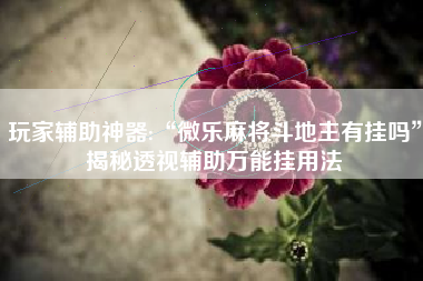 玩家辅助神器:“微乐麻将斗地主有挂吗”揭秘透视辅助万能挂用法