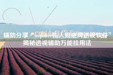 辅助分享“wepoker私人局底牌透视软件”揭秘透视辅助万能挂用法