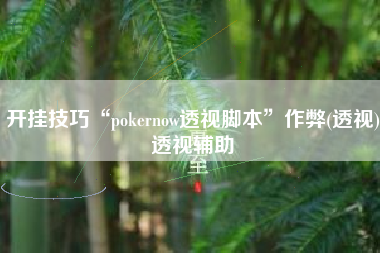 开挂技巧“pokernow透视脚本”作弊(透视)透视辅助