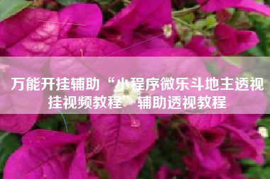 万能开挂辅助“小程序微乐斗地主透视挂视频教程”辅助透视教程