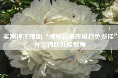 实测神器辅助“微乐石家庄麻将免费挂”分享辅助外挂教程