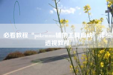 必看教程“pokemmo辅助工具自动	”详细透视教程