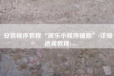 安装程序教程“微乐小程序辅助	”(详细透视教程)