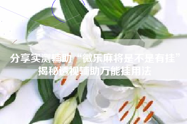 分享实测辅助“微乐麻将是不是有挂”揭秘透视辅助万能挂用法